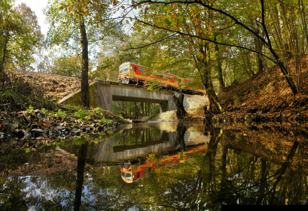 eger-patak-erdo.jpg