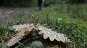 Egy Kérdés, Egy Válasz – Tudod, hány napra előre pontos az időjárás-előrejelzés?