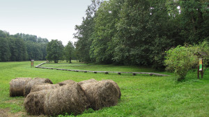 Egy kis jégkorszak - szőcei talpalatnyi zöld királyság