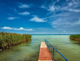 Egyre kevesebb a nád a Balatonban, és ez egyre több problémát fog okozni