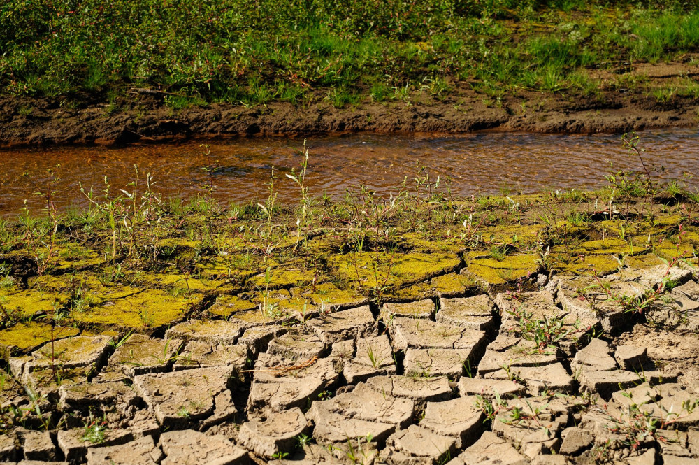 Europa, Deutschland, Sachsen, Osterzgebirge, Landkreis S..chsische Schweiz, Talsperre Lehnm..hle, ausgetrocknetes Becken,