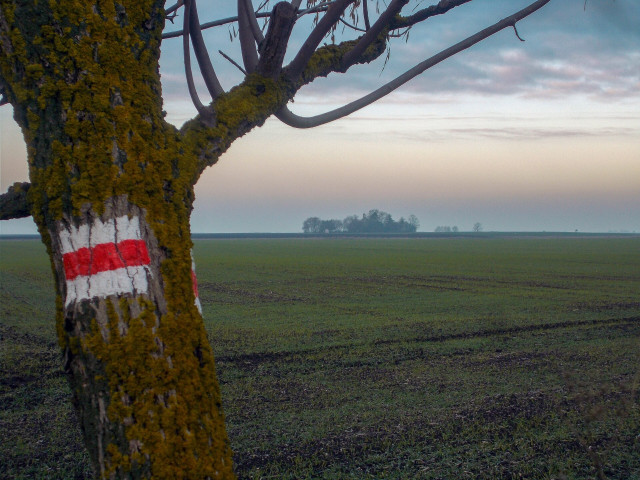 Ezer éve őrzi a Csanádi-puszták csendjét a mezőkopáncsi kápolna