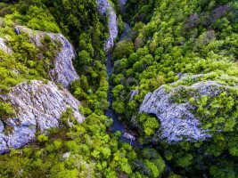 Filmajánló – A Vargyas-szoros elveszett világa