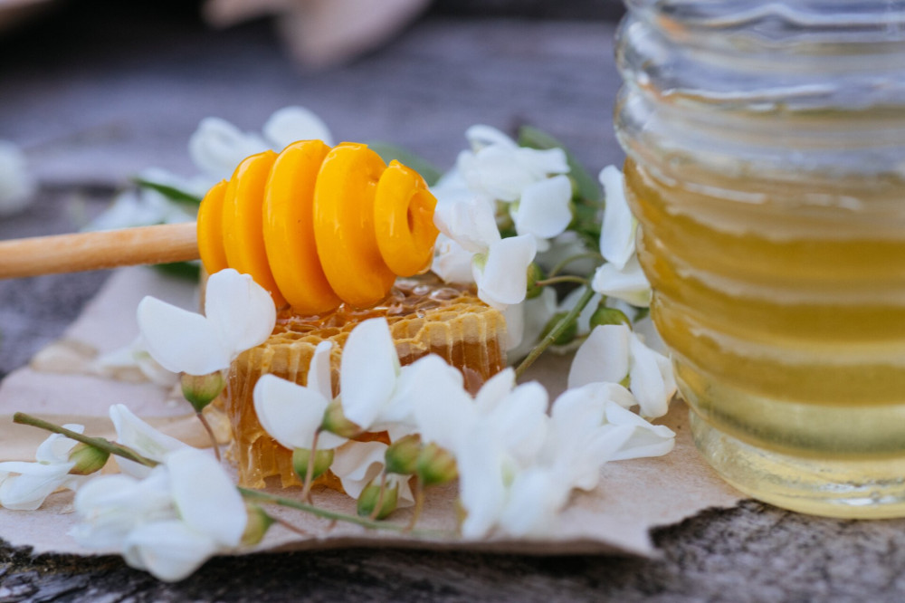 Flowers of false acacia around piece of fresh honeycomb. Delicious homemade honey from Robinia pseudoacacia, black locust at fair on Savior of the Honey Feast Day. healthy food concept