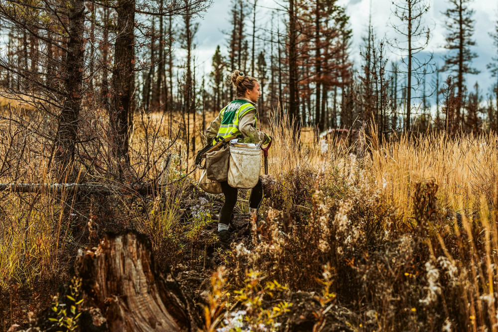 Forester at work