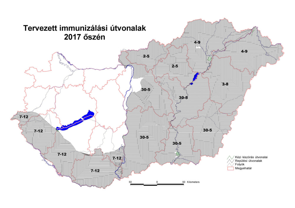 Forrás: NÉBIH