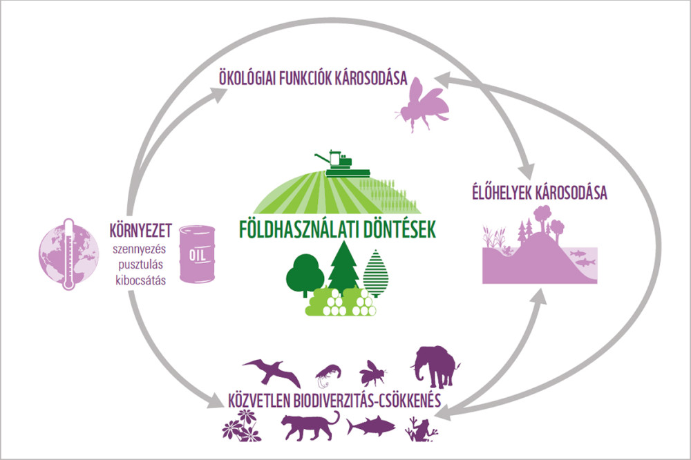 Forrás: WWF