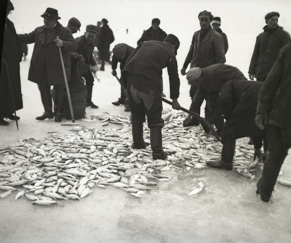 fortepan_Magyar MuszakiEs Kozlekedesi Muzeum  BAHART Archívum_1924