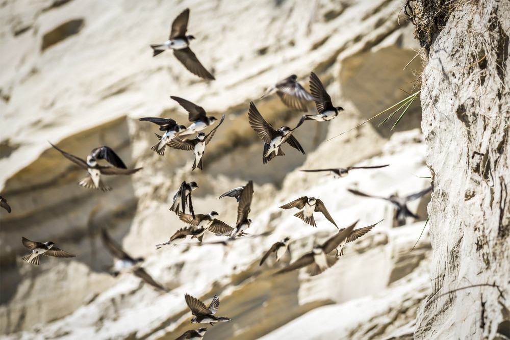 Fotó:: Adobe Stock