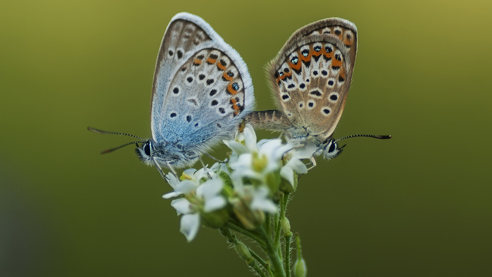 Fotó: Adobe Stock