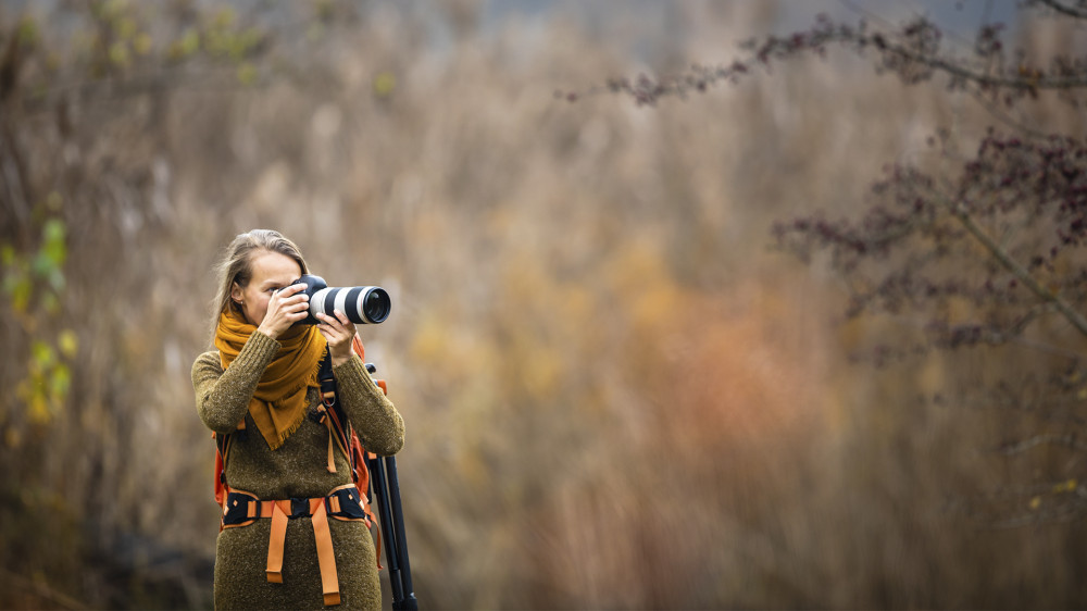 Fotó: Adobe Stock