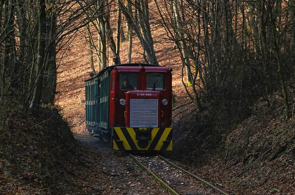 Fotó: Béres Attila - Facebok / Attis photography