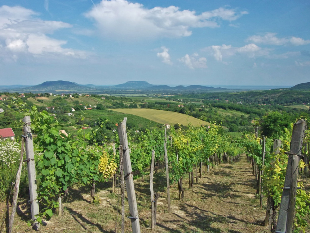 Fotó: Borsodi-Nagy Bernadett