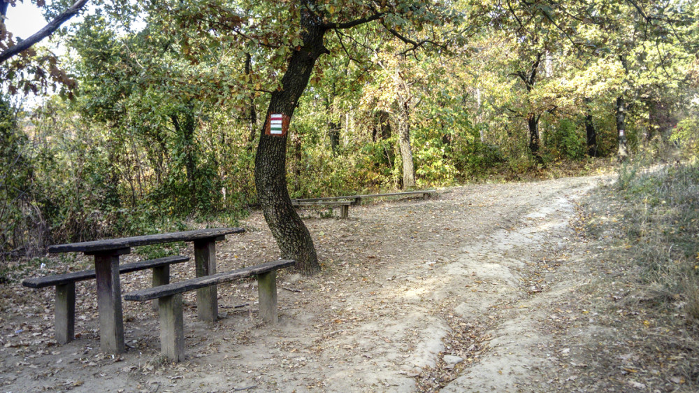 Fotó: Borsodi-Nagy Bernadett