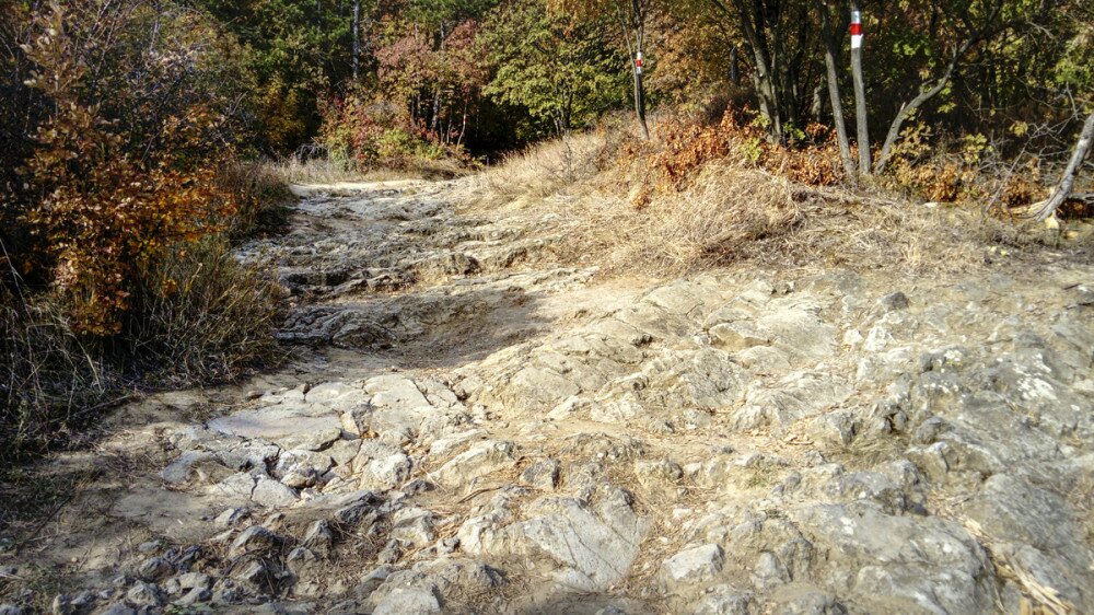 Fotó: Borsodi-Nagy Bernadett