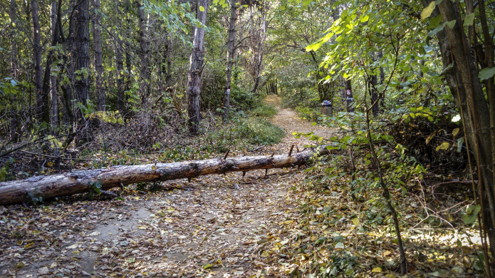 Fotó: Borsodi-Nagy Bernadett