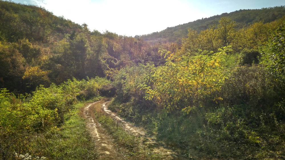 Fotó: Borsodi-Nagy Bernadett