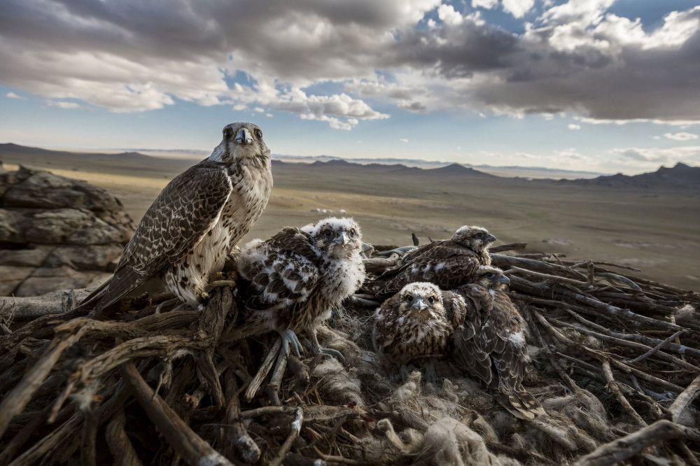 Fotó: Brent Stirton