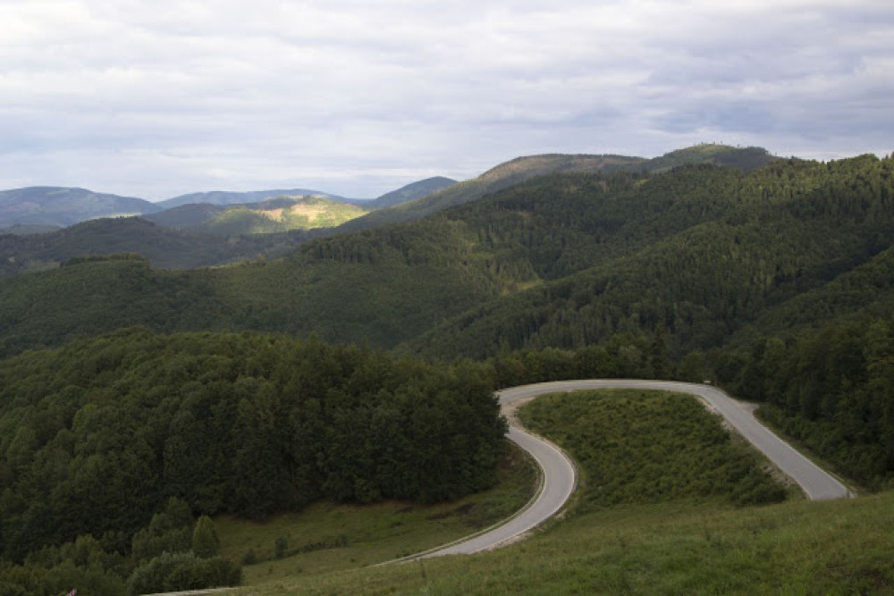 Fotó: Bubcsó Tímea