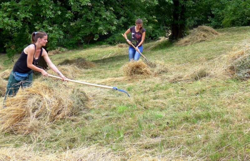 Fotó: buboscinege.hu