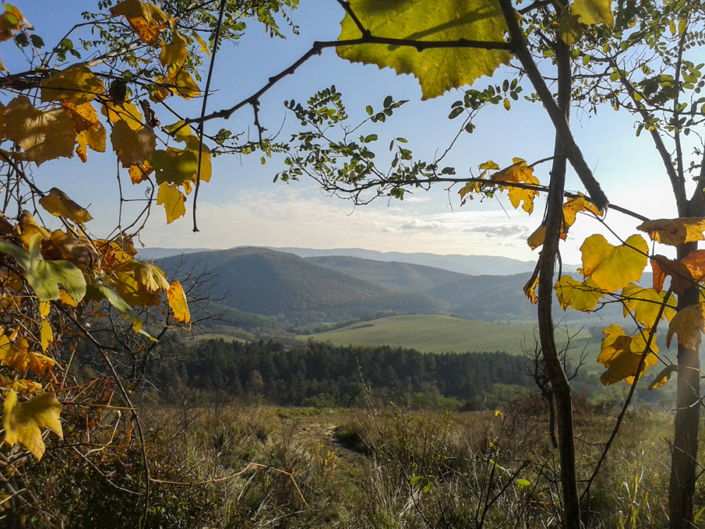 Fotó: Csernus L. Gábor