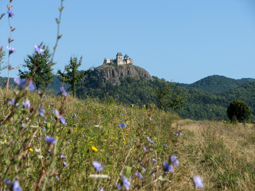 Fotó: Csernus L. Gábor