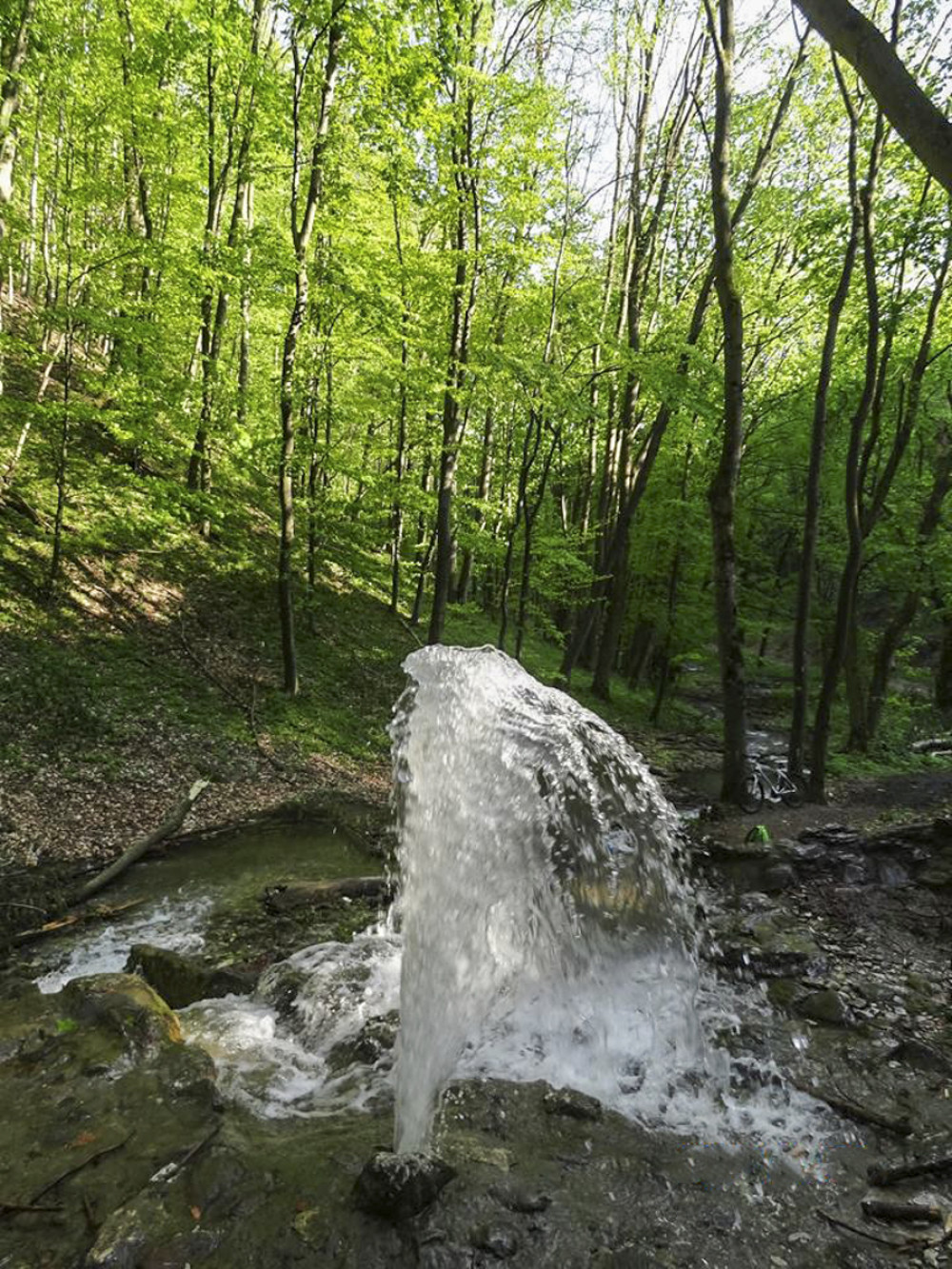 Fotó: Csibi Gyula