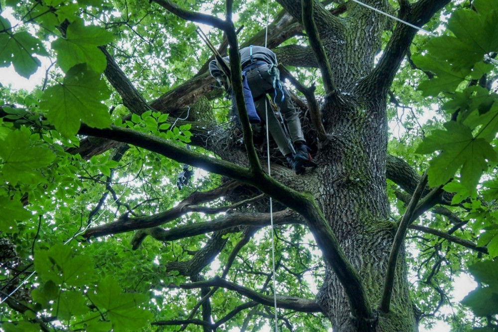 Fotó: Dariusz Anderwald / BNPI