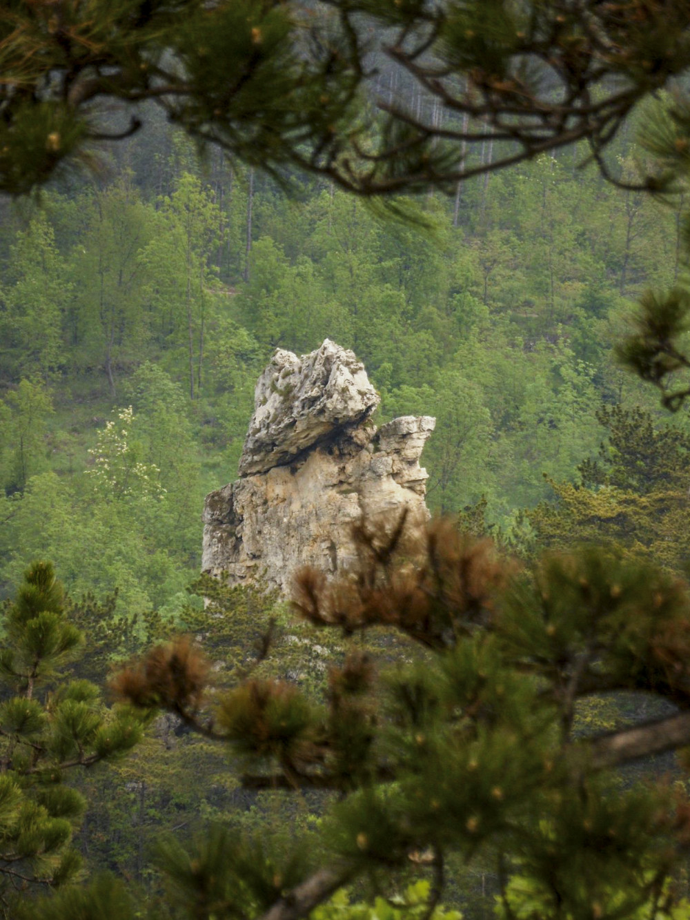 Fotó: DINPI