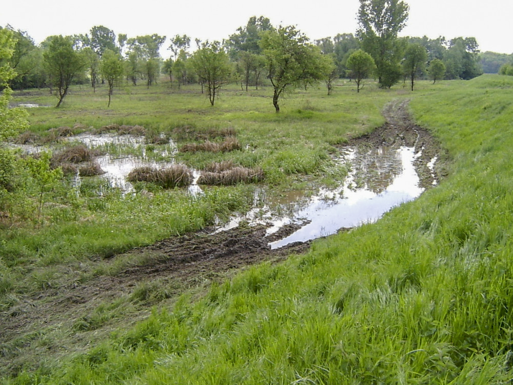 Fotó: Duna-Dráva Nemzeti Park Igazgatóság fotóarchívuma