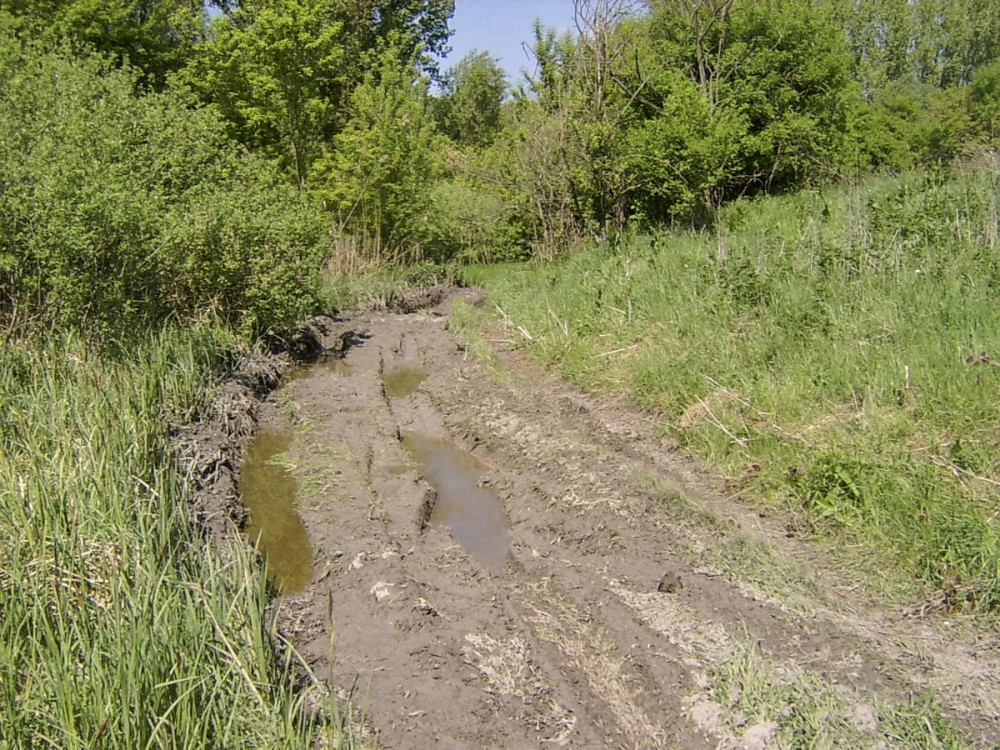 Fotó: Duna-Dráva Nemzeti Park Igazgatóság fotóarchívuma