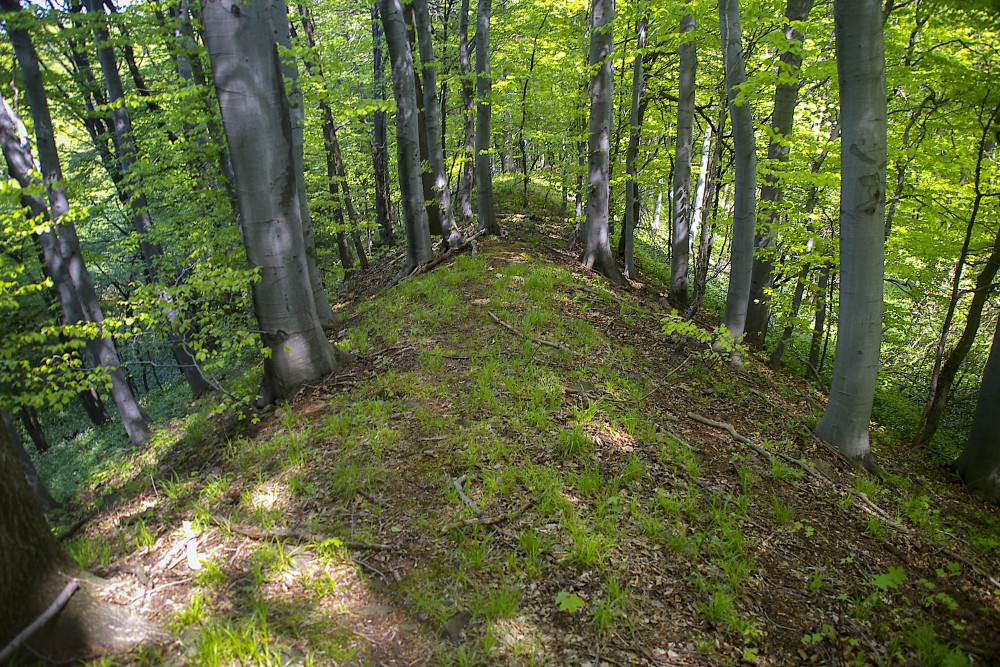 Fotó: Duna-Dráva Nemzeti Park / Völgyi Sándor