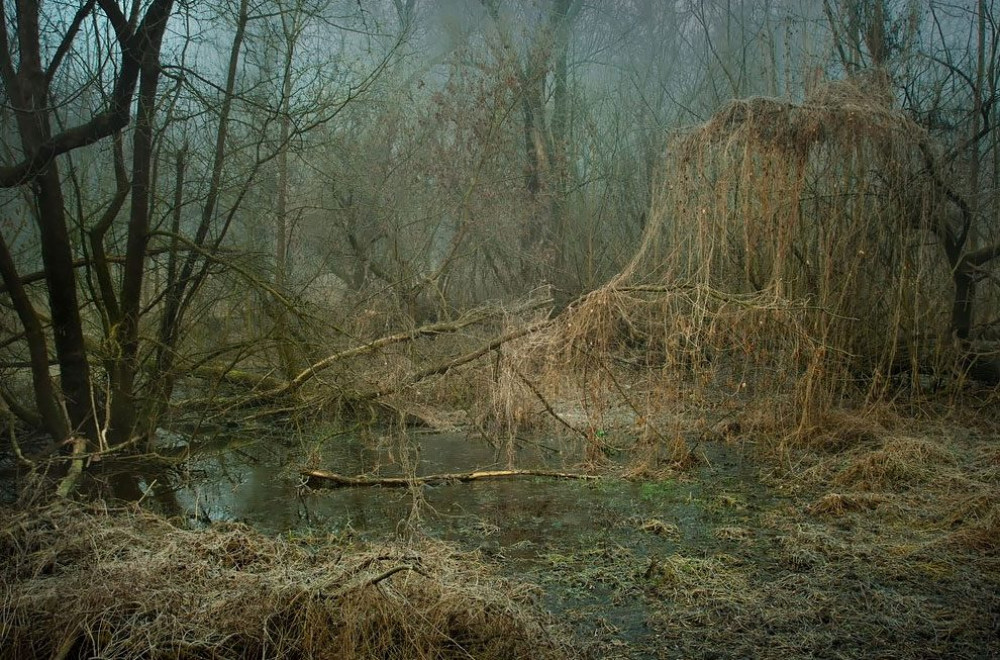 Fotó: Dvornik Gábor