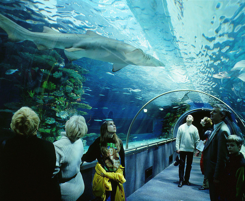 Fotó: Facebook / Tropicarium Budapest