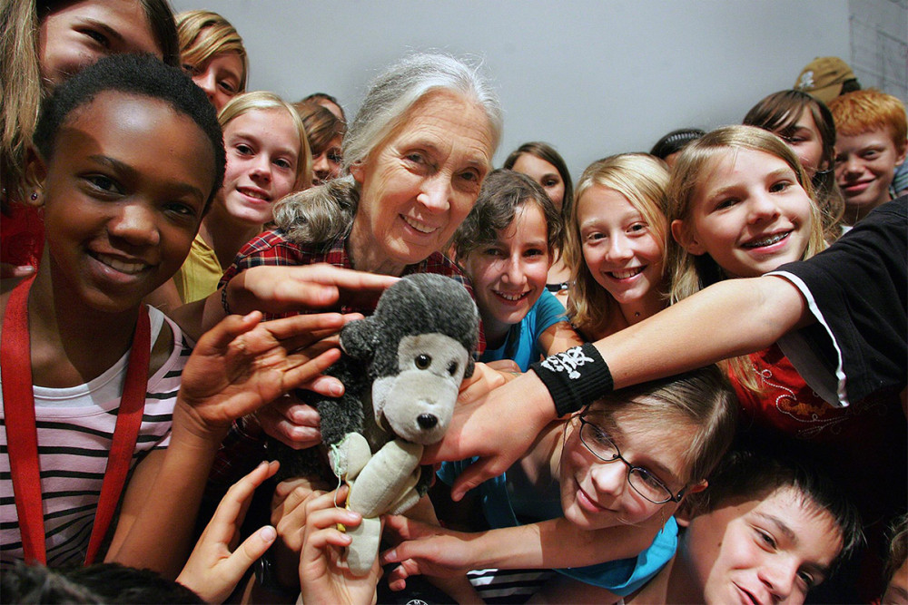 Fotó: Facebook/Dr. Jane Goodall