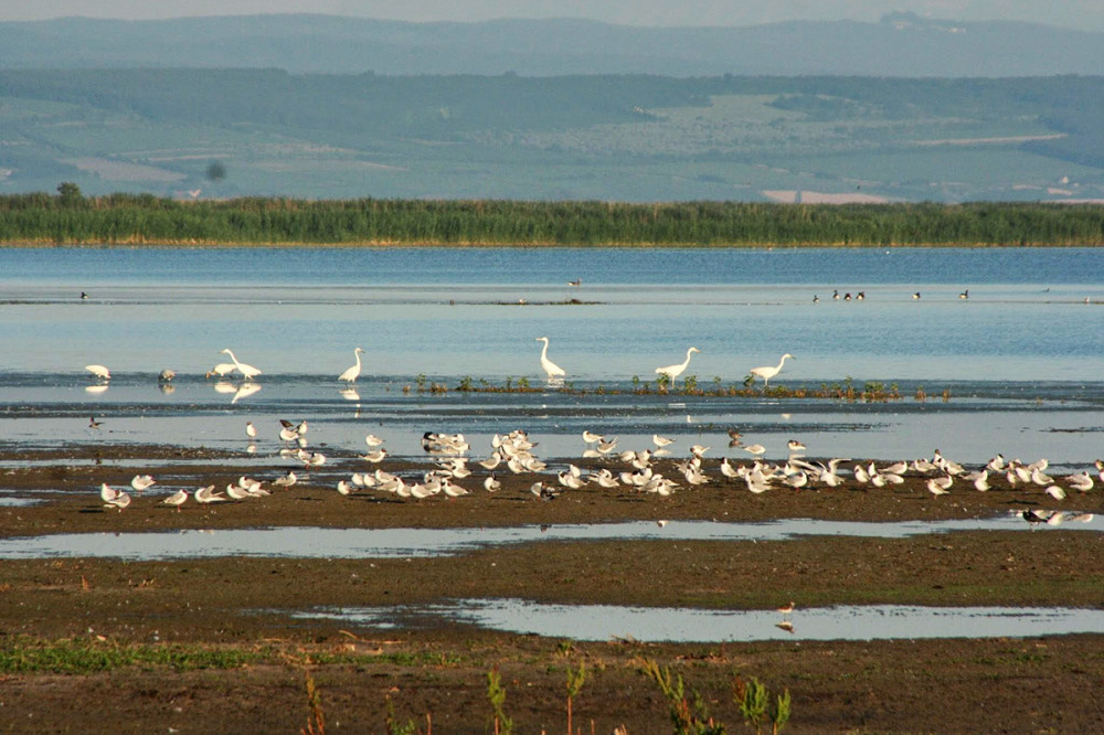 Fotó: Fertő Hanság Nemzeti Park