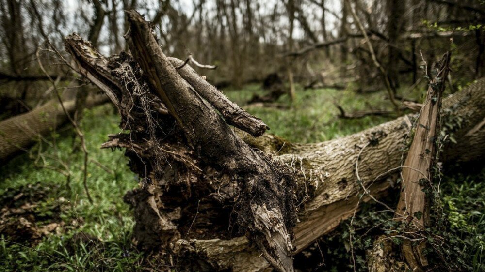 Fotó: Fertő-Hanság Nemzeti Park