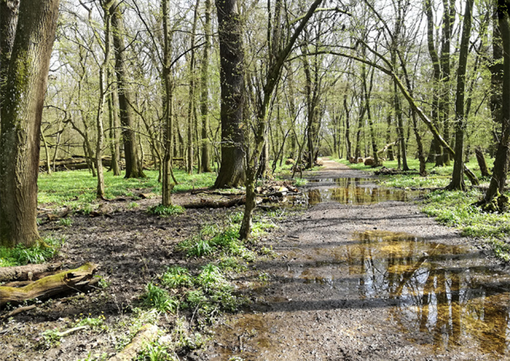 Fotó: Fertő-Hanság nemzeti Park Igazgatósága