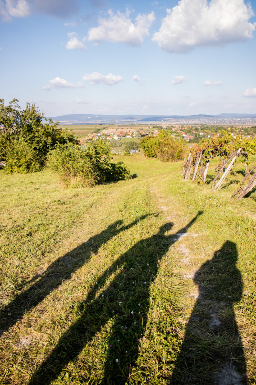 Fotó: Garancsi Kata