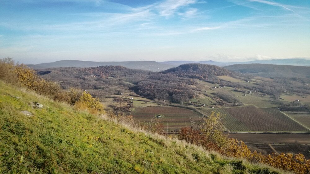 Fotó: Gombos Kálmán