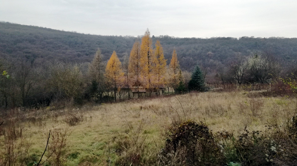 Fotó: Gombos Kálmán