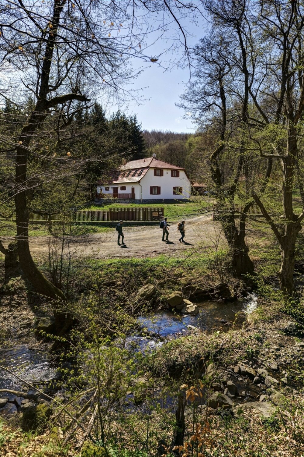 Fotó: Gulyás Attila