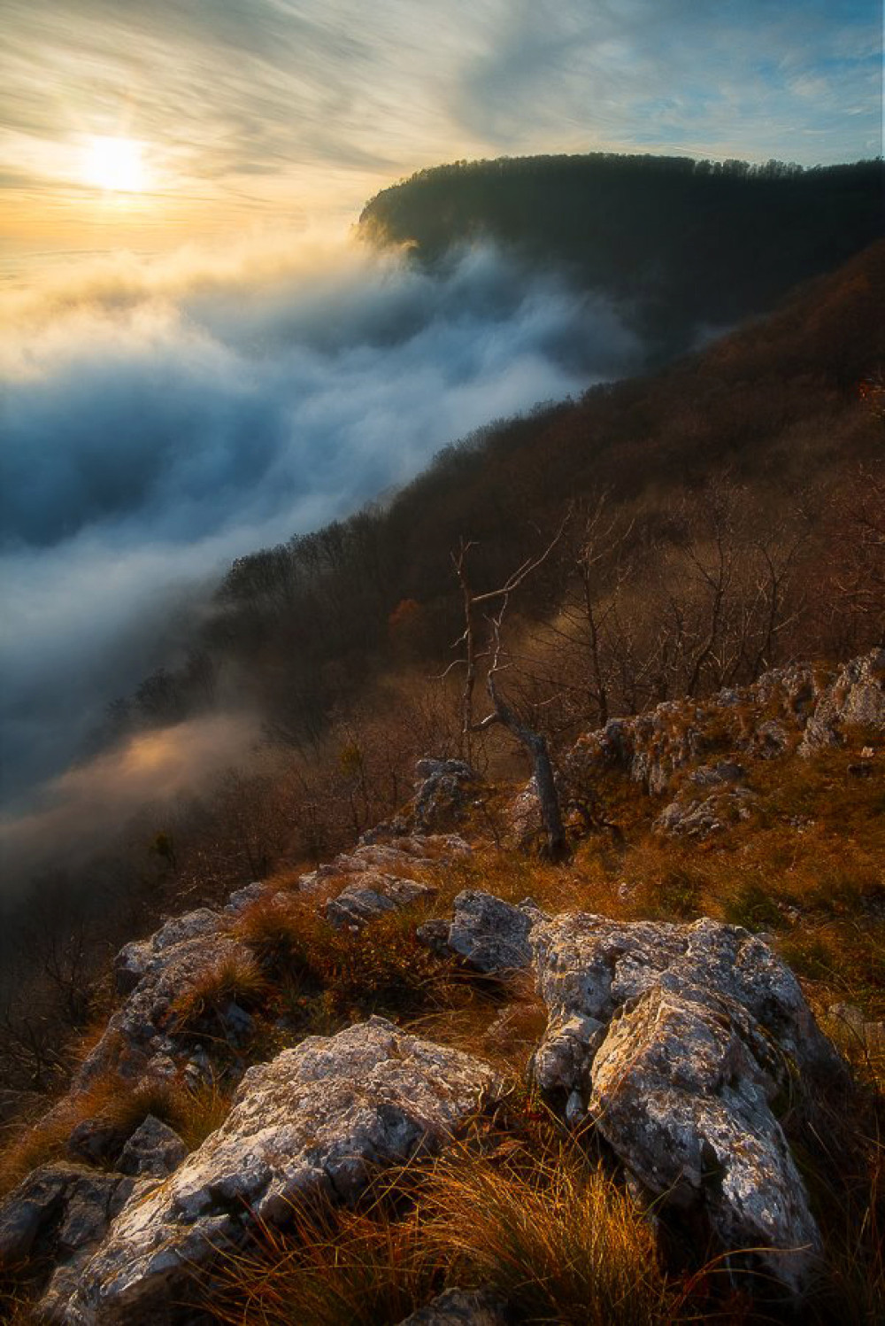 Fotó: Gyárfás-Tóth Gábor