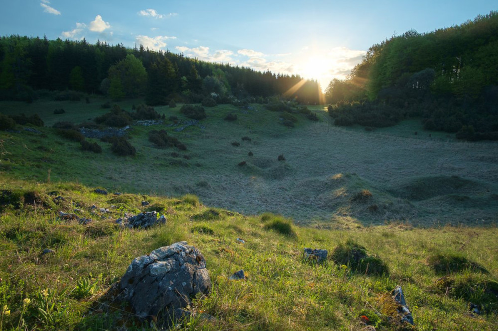 Fotó: Gyárfás-Tóth Gábor