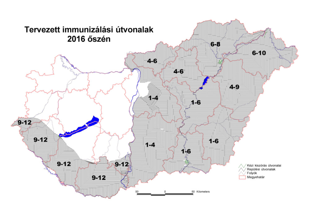 Fotó: http://portal.nebih.gov.hu/