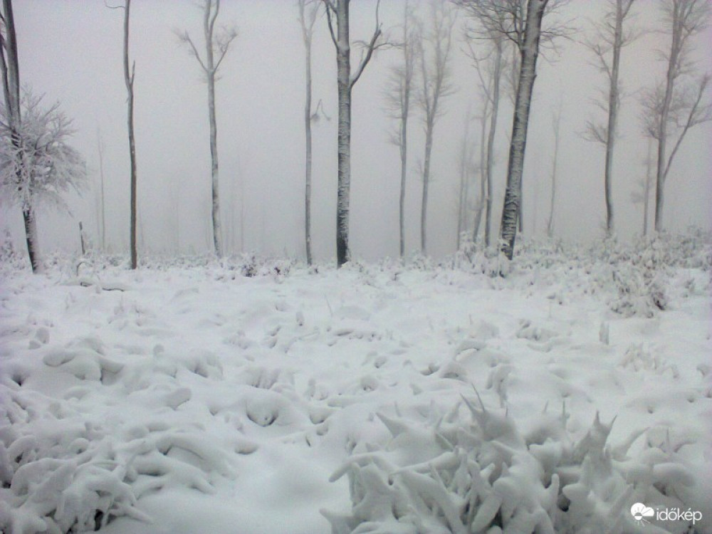 Fotó: Időkép/Gunsergebirge