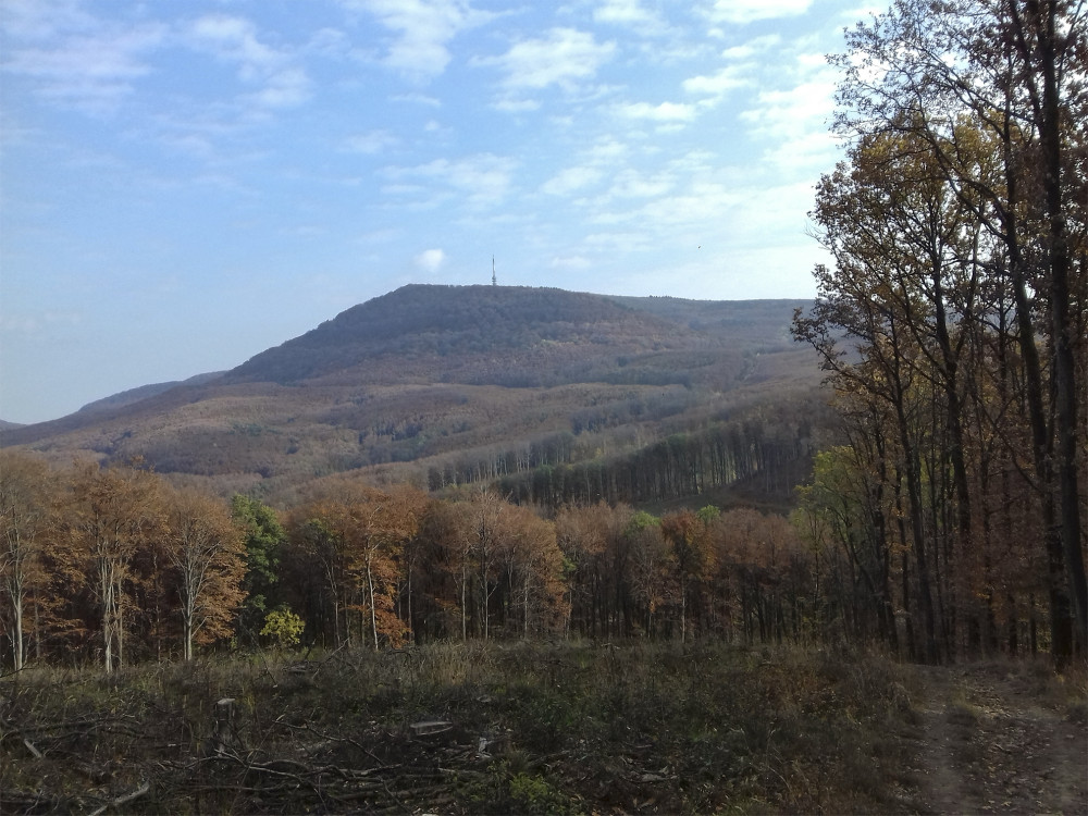 Fotó: Jakab László / pangea.blog.hu