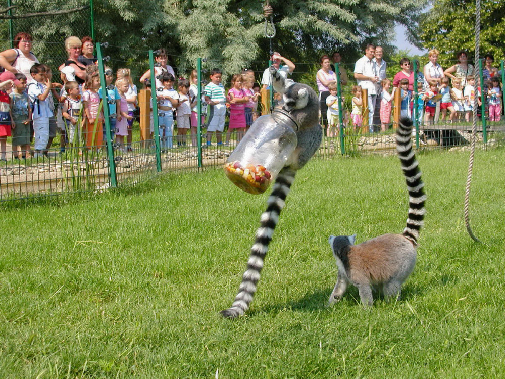 Fotó: jaszberenyzoo.hu