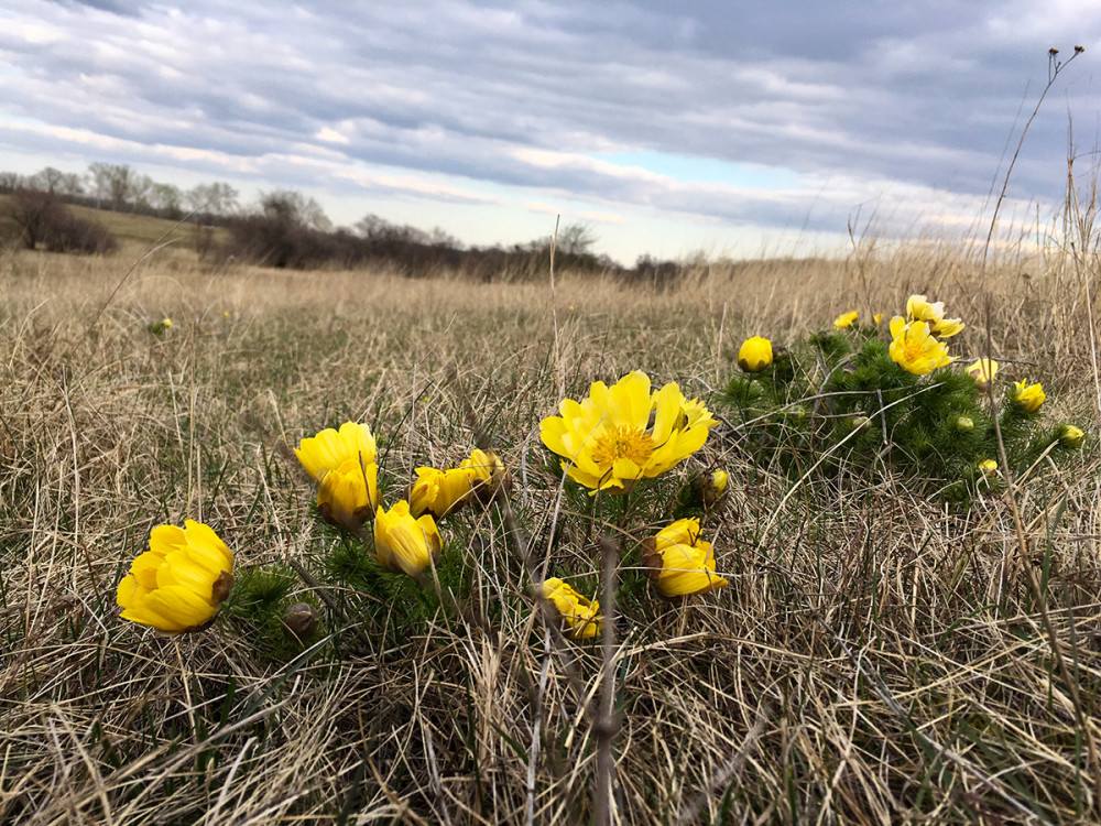 Fotó: Kiskunsági Nemzeti Park