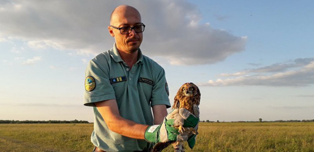 Fotó: Kiskunsági Nemzeti Park Igazgatóság